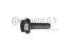 VOLVO 31216358 Screw